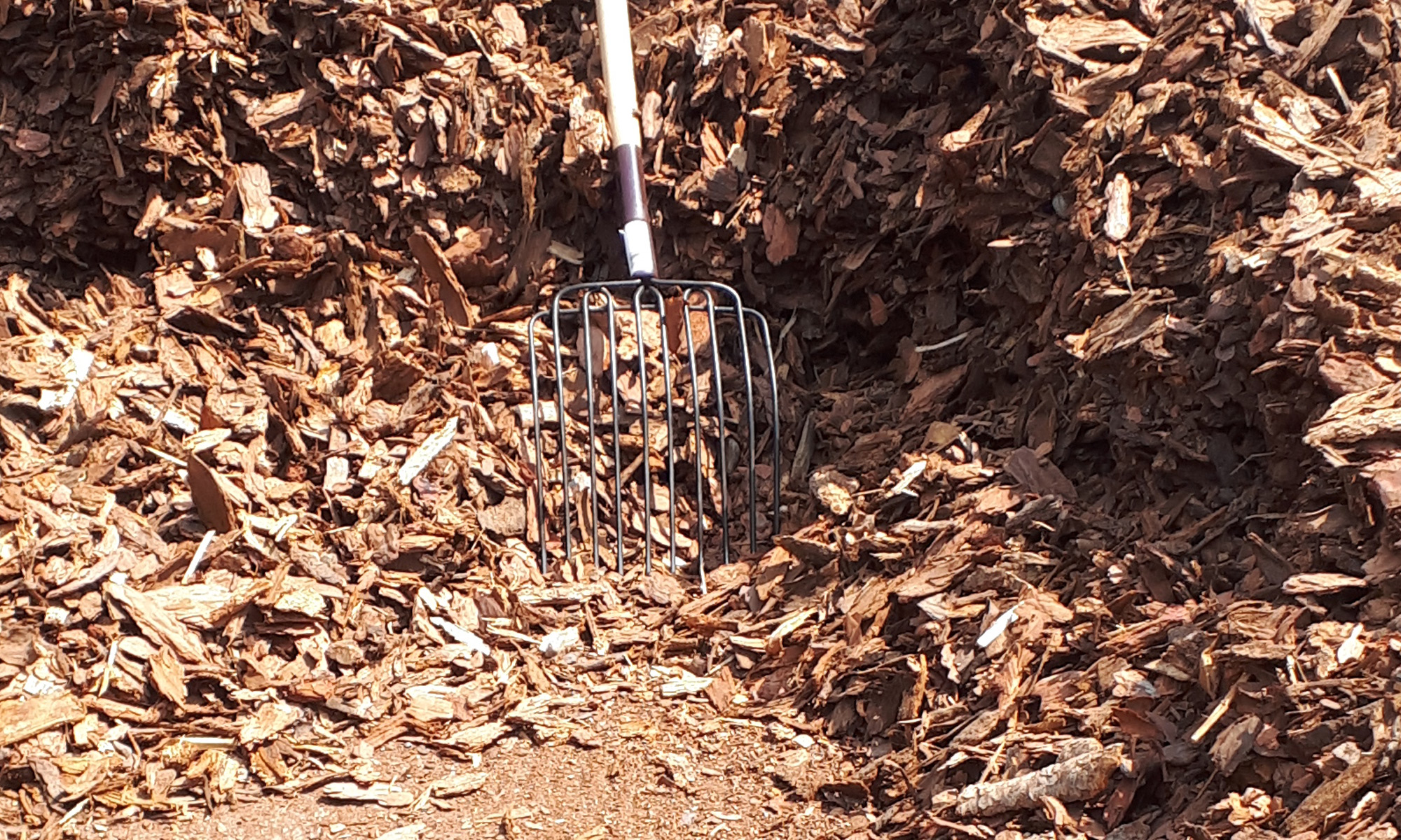 A pitchfork in a fresh pile of mulch